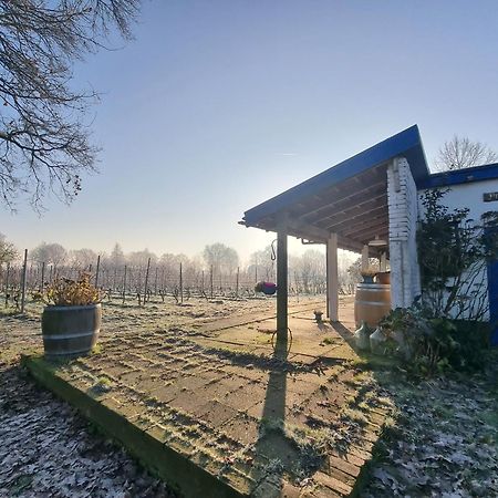 Wijnstaete Bed & Breakfast Lemelerveld Exterior photo