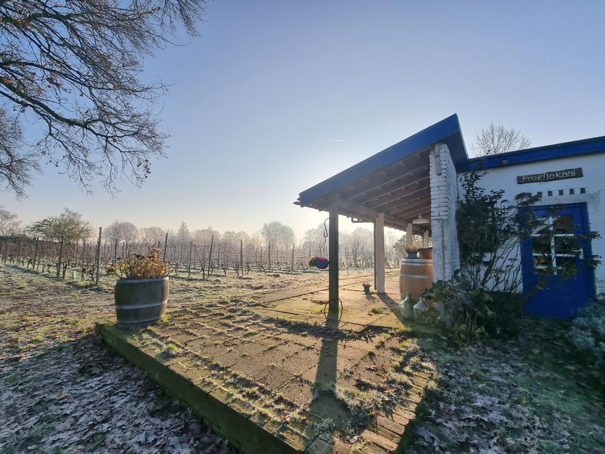 Wijnstaete Bed & Breakfast Lemelerveld Exterior photo