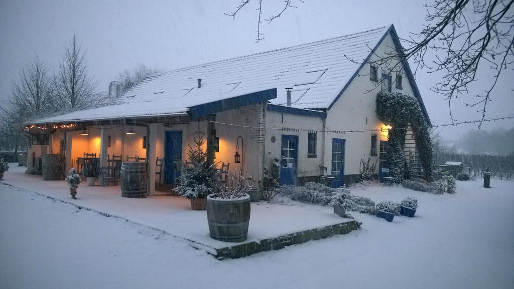 Wijnstaete Bed & Breakfast Lemelerveld Exterior photo